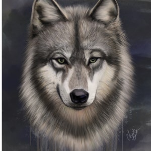 Grey Wolf