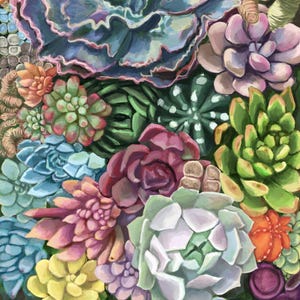 Succulents