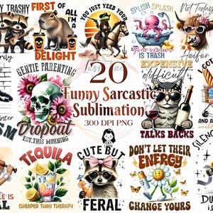 Citas sarcásticas divertidas de sublimación, diseños divertidos de PNG, sarcasmo PNG, diseños de camisetas sarcásticas, sublimación divertida, citas sarcásticas PNG,