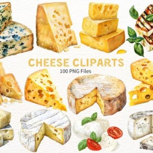 Pacchetto Clipart Formaggio Acquerello / Brie / Cheddar / Clipart Picnic / Uso Commerciale / PNG Planner Digitale / Scrapbooking / Journaling