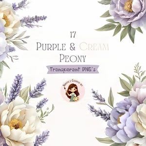 Acquerello di peonie viola e crema in formato PNG. Fiori in formato PNG, fiori viola e crema, immagini di fiori di peonia