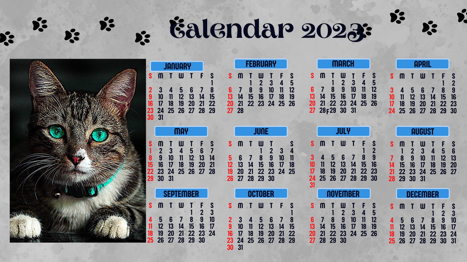 Cat Calendar 2023 Wall Printablepng Pdf Poster Digital Etsy