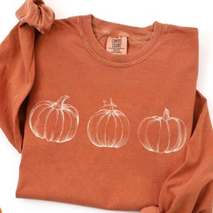 May include: Rust-colored long-sleeve shirt with a crew neck. The shirt features a white line drawing of three pumpkins across the front. The lower left corner has a small orange circle with the word "YAM" printed on it.