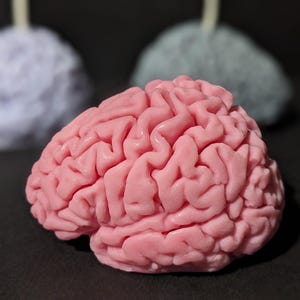 May include: A pink brain-shaped candle with a detailed, textured surface mimicking the folds of a human brain. The candle features a single white wick protruding from the top, with two additional out-of-focus candles in light blue and grey.