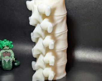Vela da Coluna Vertebral: Escultura Anatômica em Cera de Soja