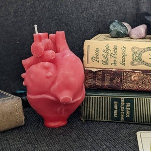 Anatomical heart candle
