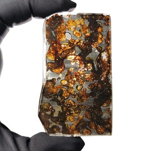 29.1g SERICHO Pallasite Meteorite Slices - From Kenya - QA430