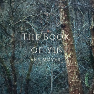 Das Buch Yin von Ana Moves