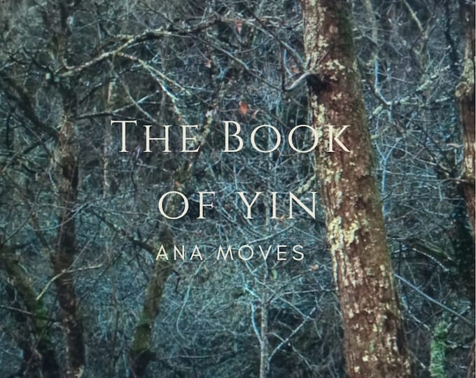 The Book of Yin by Ana Moves
