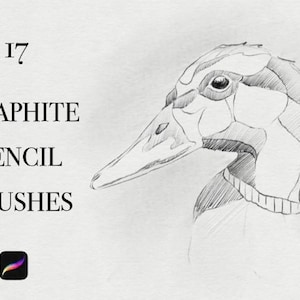 May include: A black and white pencil drawing of a goose's head. The drawing is labeled "17 Graphite Pencil Brushes".