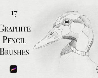 Procreate Pencil Brushes - 25 Realistic Graphite Sketch Brushes (Digital Download)