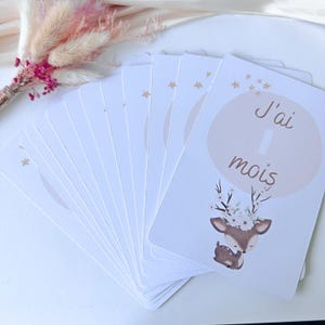 Cartes étapes bébé 1 à 12 mois - Biche