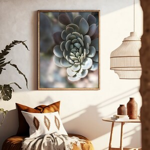 Succulent Wall Art, Cactus Prints, Botanical Print, Gallery Wall Art, Living Room Wall Art, Bedroom Decor, Watercolor in Digital Download