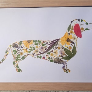 Pressed flower dachshund weiner dog