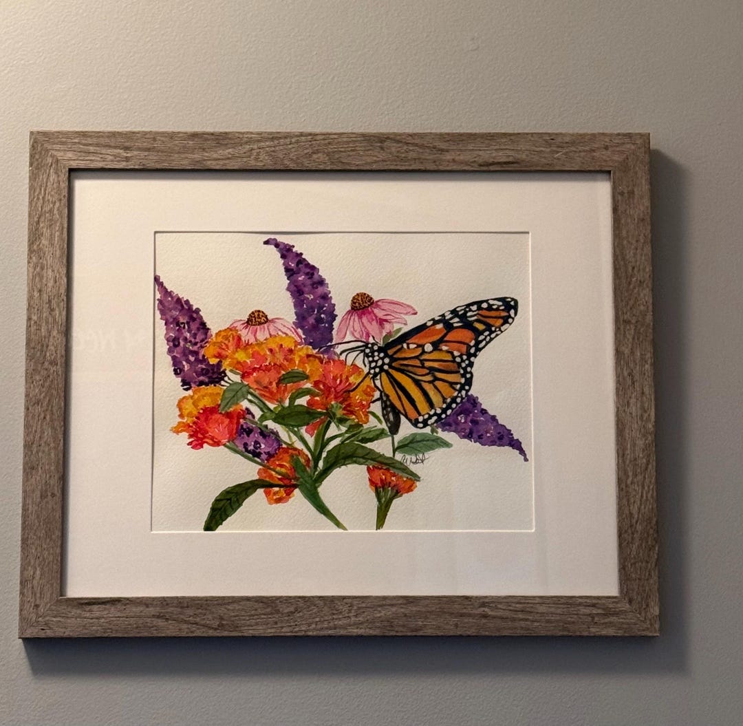 Monarch Butterfly Watercolor Painting – Original Framed Nature Art - Etsy