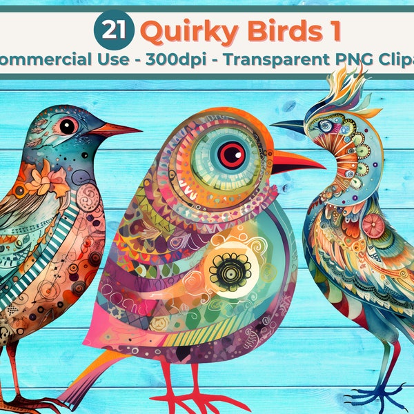 Quirky Birds Clipart Bundle 1, Transparent PNGs, Commercial Use, INSTANT DOWNLOAD, Mixed Media Birds, Whimsical Colorful Design Graphics