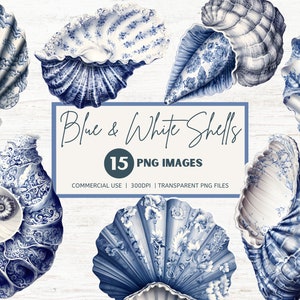 Paquete de imágenes prediseñadas de conchas marinas, patrones chinoiserie blue Delft, PNG transparentes, uso comercial, DESCARGA INSTANTÁNEA, imágenes caprichosas de acuarela