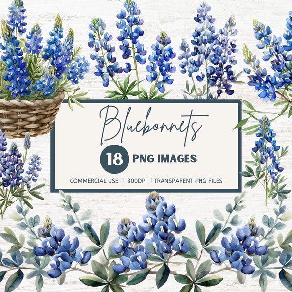 Bluebonnets Clipart Bundle, Texas State Flower, Transparent PNGs, Commercial Use, INSTANT DOWNLOAD, Watercolor Clipart, Wedding Decor Craft