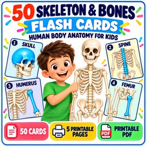 May include: A set of 50 skeleton and bones flash cards for human body anatomy for kids. The graphic features a cartoon character pointing at a skeleton, with four labeled cards showing a skull, spine, humerus, and femur. Includes 50 cards and 5 printable PDF pages.