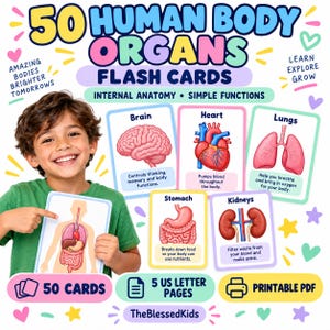 Puede incluir: Un juego de 50 tarjetas didácticas sobre órganos del cuerpo humano con ilustraciones coloridas del cerebro, corazón, pulmones, estómago y riñones con texto descriptivo. Las tarjetas se presentan como un PDF imprimible en 5 páginas.