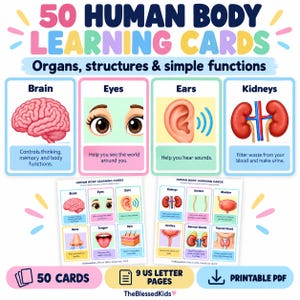 Puede incluir: Un conjunto de 50 tarjetas de aprendizaje sobre el cuerpo humano con ilustraciones coloridas de órganos y estructuras como el cerebro, ojos, oídos y riñones. Cada tarjeta incluye texto descriptivo sobre funciones simples en 9 páginas A4.