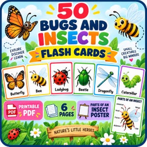 Könnte beinhalten: Ein Set aus 50 Insekten-Lernkarten mit farbenfrohen Illustrationen von Schmetterling, Biene, Marienkäfer, Käfer, Libelle und Raupe. Das Design enthält den Text 50 BUGS AND INSECTS FLASH CARDS, ein druckbares PDF-Symbol und ein Poster mit den Körperteilen eines Insekts.