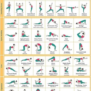 以下が含まれることがあります： ヨガのアーサナチャート。座位、立位、脊椎の可動性、コア、ヒップオープナー、ストレッチなど、さまざまなポーズがあります。各ポーズは、赤いトップスとティールボトムの人物で示されており、ポーズ名は黒いテキストで表示されています。