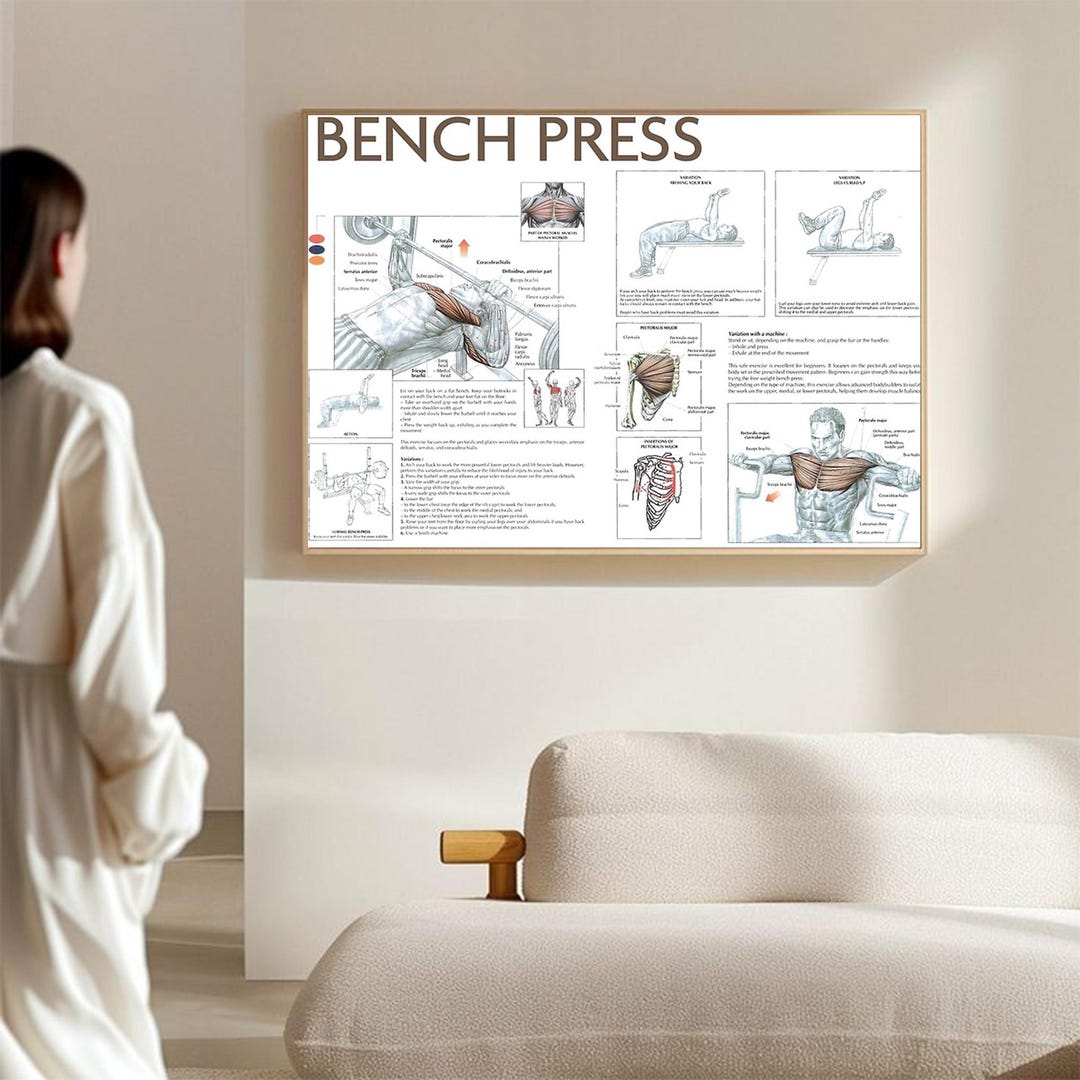 Bench Press Exercise Chart Poster - Decorate Living Room, Study Room - Etsy