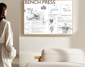 Bench Press Exercise Chart Poster - Decorate living room, study room