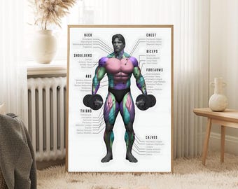 Bodybuilding Chart Poster - Gym Workout Guide - Muscle Anatomy Print Poster - Decorate living room, study room
