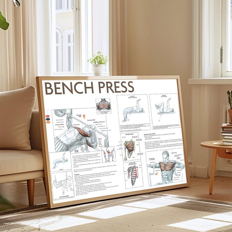 Bench Press Exercise Chart Poster - Decorate Living Room, Study Room - Etsy