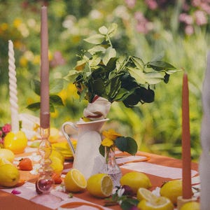 May include: A summery table setting outdoors with a red and white striped tablecloth. The table features lemons, strawberries, candles, a white jug, and a small vase with yellow flowers. The background is a blurred garden scene.