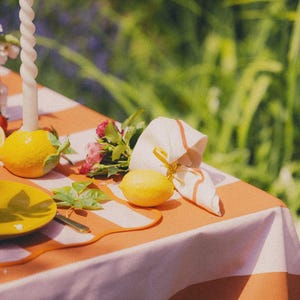 May include: A picnic table set with a white and orange striped tablecloth. The table is decorated with lemons, a yellow plate, a white spiral candle, a napkin, and a small bouquet of pink flowers. The background is blurred green foliage.