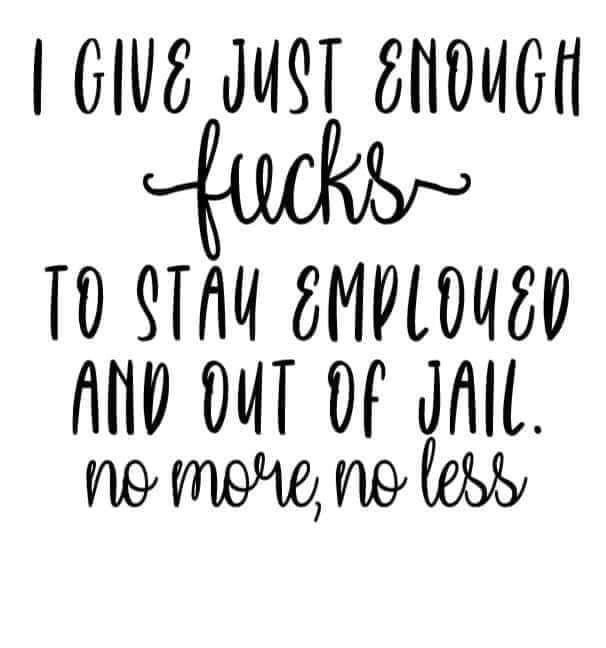 I Give Just Enough … SVG File Instant Download, Funny Quotes Cut File for Cricut, Design humour 2022 svg, Funny t-shirt SVG, PNG, jpg