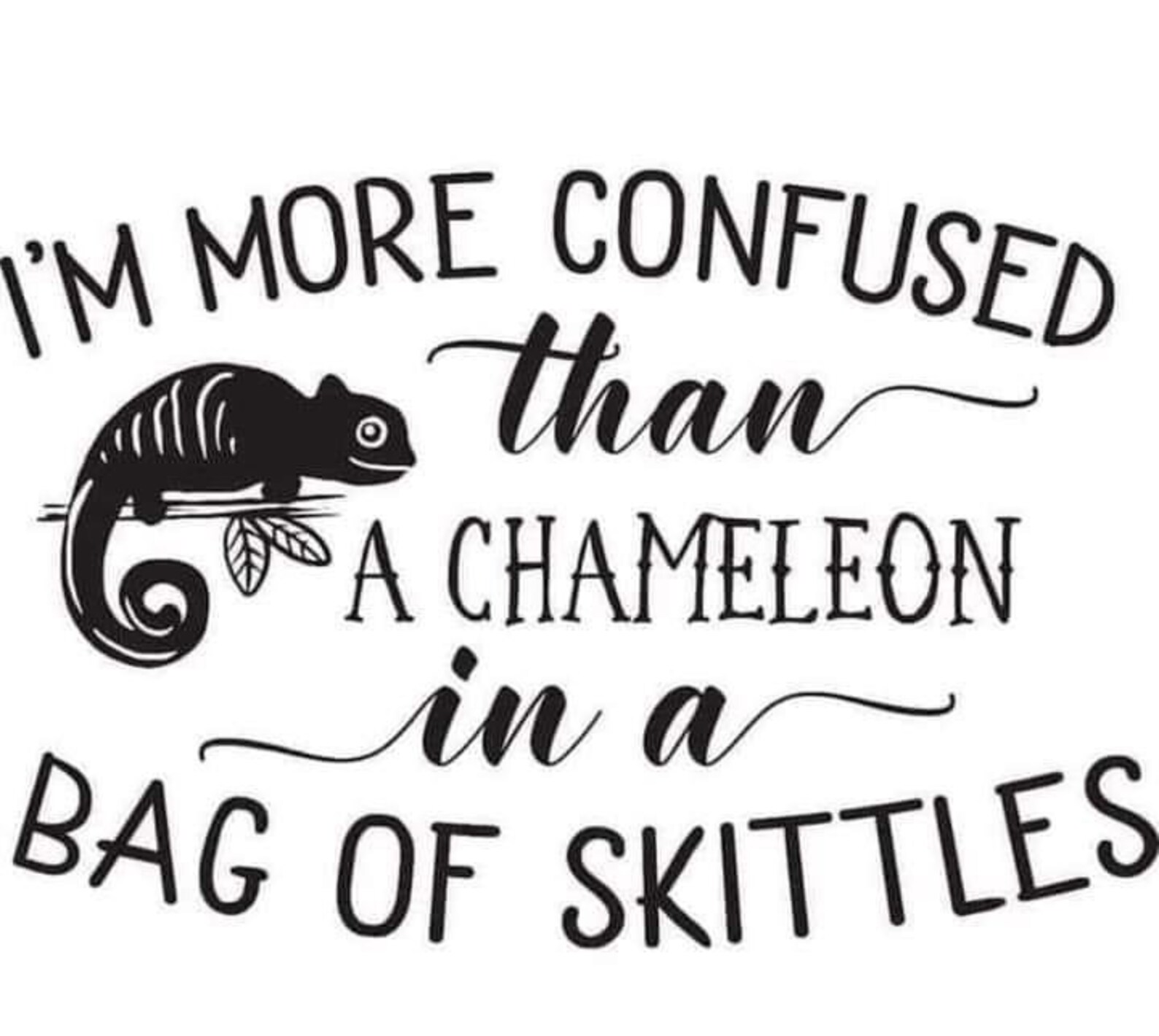 More Confused Than a Chameleon in a Bag of Skittles SVG File Instant ...
