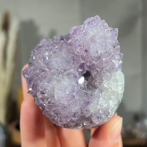Puede incluir: Un grupo de cristales de geoda de amatista de color púrpura vibrante. La formación presenta una cavidad central rodeada de puntas de cristal brillantes. La piedra natural se sostiene en una mano, mostrando su textura y color únicos.
