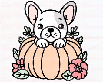 Bulldog francese zucca, carino bulldog in formato SVG, bulldog autunnale in formato SVG, bulldog di Halloween in formato SVG, bulldog francese in formato SVG, Halloween in formato SVG, autunno in formato SVG, alla moda