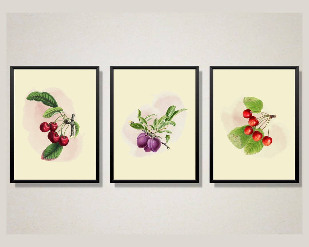 Set of 3 Summer Fruit Printable Art,rustic Wall Art, Kitchen Wall Art
