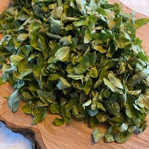 1 kg dried wild blueberry leaves from Finland