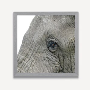 Occhio di elefante africano arancione naturale, Kenya, Fotografia, Stampa, Arte della parete, Oggettistica per la casa, Natura, Fauna selvatica, Safari, Poster di carta opaca Premium