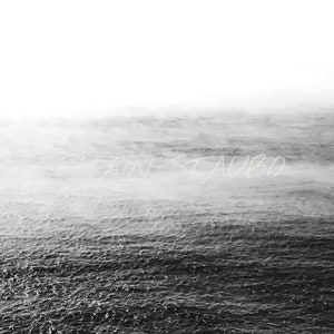 May include: A black and white photograph of a foggy ocean. The water is choppy and the fog is thick, creating a sense of mystery and depth.