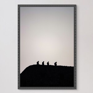 May include: Silhouette of four monkeys sitting on a hilltop against a light grey sky.