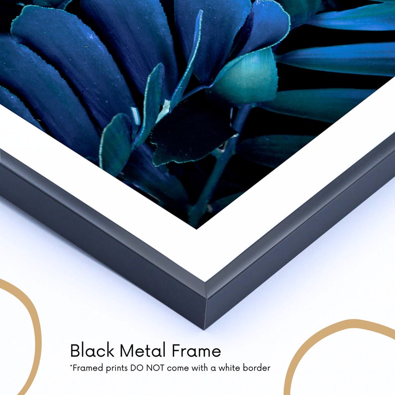 May include: Close-up of a black metal frame with a white mat surrounding a print of blue and green tropical leaves. "Framed prints DO NOT come with a white border" is written below the image.