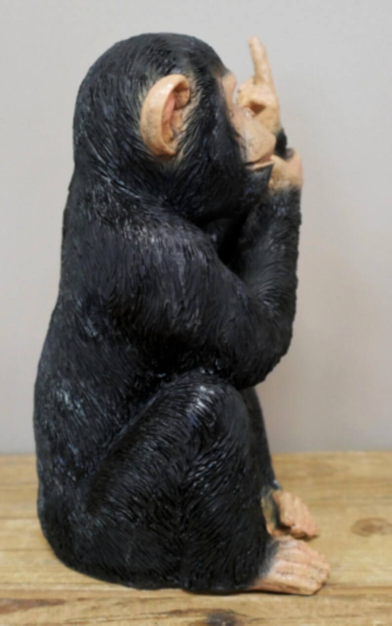 Monkey up Yours Monkey Naughty Monkey - Etsy
