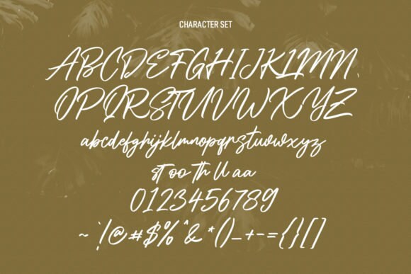 Speed Cursive Shadyspeed Script Font Font, Display Font, Cricut Font, Casual Font ...