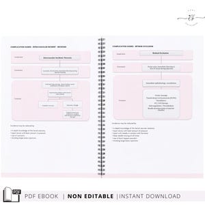 Aesthetics Nurse Injector Practice Standards and Guidelines, PDF eBook, Instant Download