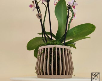 Pot à orchidées  et épiphytes