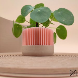Kleiner ROSA MACARON Übertopf / 5,5 cm und 8,5 cm Übertopf / Minimalistischer Übertopf / Geschenkidee