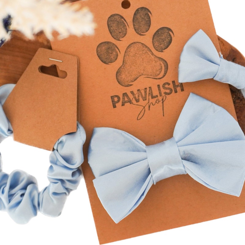 matching bow ties for dog and owner