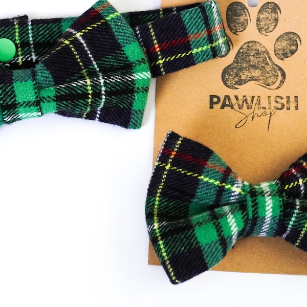 matching bow ties for dog and owner